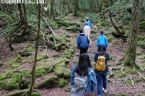 樹海ネイチャーツアー