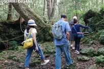 樹海ネイチャーツアー