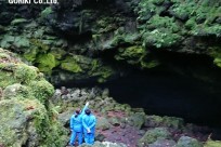 樹海ネイチャーツアー