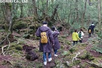 樹海ネイチャーツアー