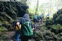 樹海ネイチャーツアー