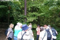 特別樹海ネイチャーツアー(㈱日本旅行国際事業部:オーストラリア、イギリスの皆様）