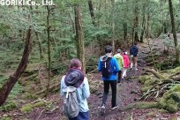 樹海ネイチャーツアー