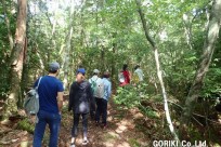 樹海ネイチャーツアー