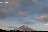 樹海ネイチャーツアー