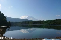 樹海ネイチャーツアー