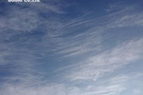 樹海ネイチャーツアー