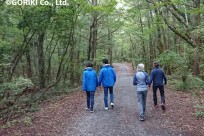 樹海ネイチャーツアー