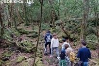 樹海ネイチャーツアー