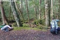 樹海ネイチャーツアー