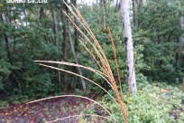 樹海ネイチャーツアー