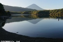 樹海ネイチャーツアー