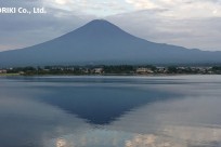 樹海ネイチャーツアー