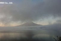 樹海ネイチャーツアー