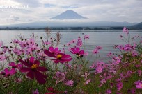 樹海ネイチャーツアー