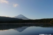 樹海ネイチャーツアー