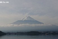樹海ネイチャーツアー