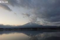 樹海ネイチャーツアー