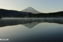 樹海ネイチャーツアー