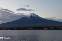 樹海ネイチャーツアー
