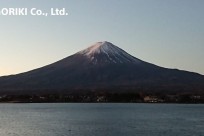 樹海ネイチャーツアー