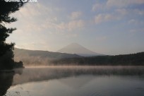樹海ネイチャーツアー