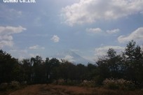 樹海ネイチャーツアー
