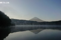 樹海ネイチャーツアー