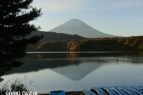 樹海ネイチャーツアー