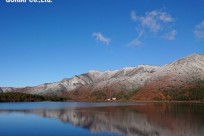 樹海ネイチャーツアー