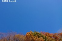 樹海ネイチャーツアー