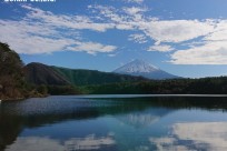 樹海ネイチャーツアー