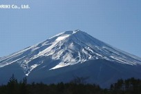 樹海ネイチャーツアー