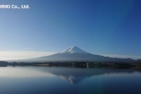 樹海ネイチャーツアー