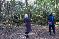 樹海ネイチャーツアー