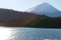 樹海ネイチャーツアー