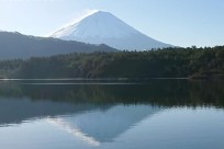 樹海ネイチャーツアー