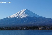 樹海ネイチャーツアー