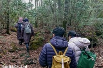 樹海ネイチャーツアー
