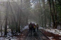 樹海ネイチャーツアー