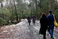 樹海ネイチャーツアー