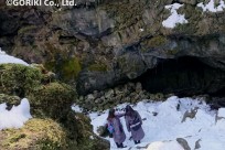 樹海ネイチャーツアー