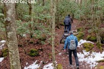 樹海ネイチャーツアー