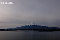樹海ネイチャーツアー