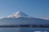 樹海ネイチャーツアー