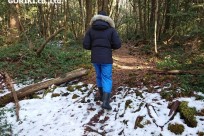 樹海ネイチャーツアー