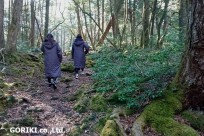 樹海ネイチャーツアー