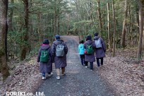 樹海ネイチャーツアー