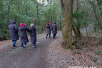 樹海ネイチャーツアー