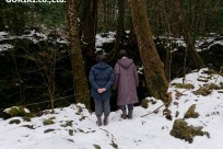 樹海ネイチャーツアー